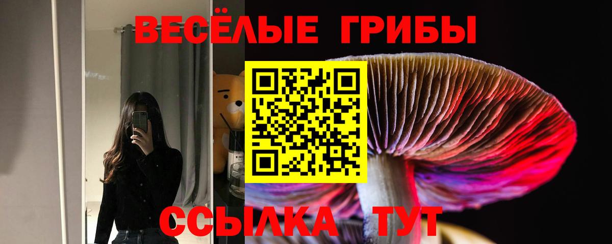 Псилоцибиновые грибы GOLDEN TEACHER  Галлюциногенные грибы GOLDEN TEACHER  Вход с VPN  Нерюнгри 